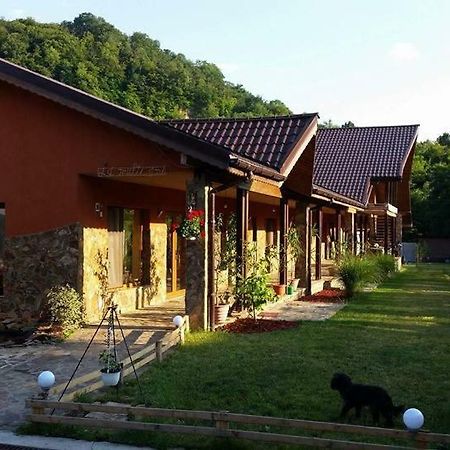 Pensiunea Raiul Muntilor Sebiş Exteriér fotografie