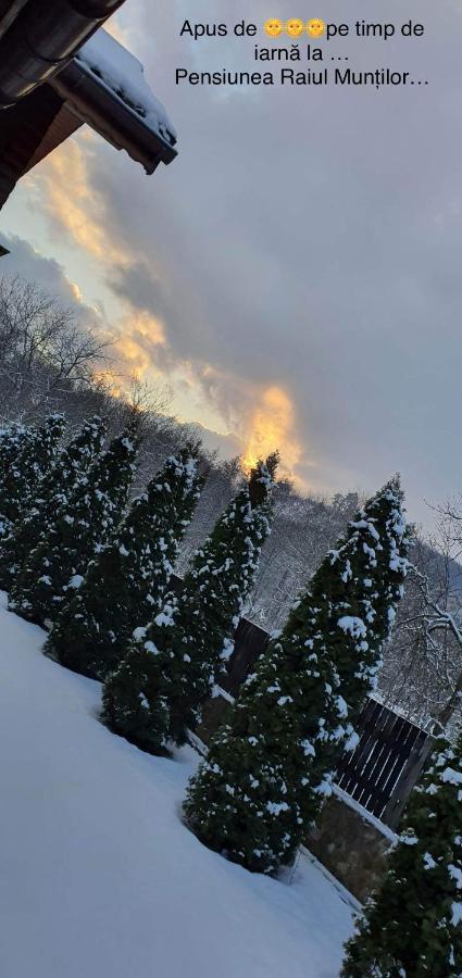 Pensiunea Raiul Muntilor Sebiş Exteriér fotografie