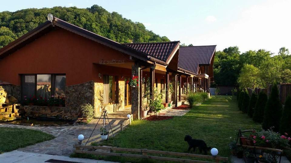 Pensiunea Raiul Muntilor Sebiş Exteriér fotografie