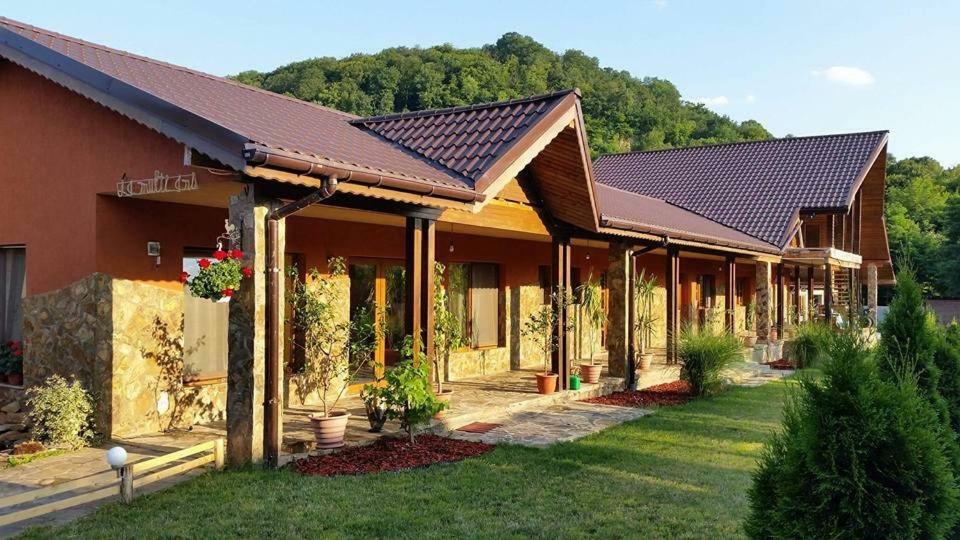 Pensiunea Raiul Muntilor Sebiş Exteriér fotografie