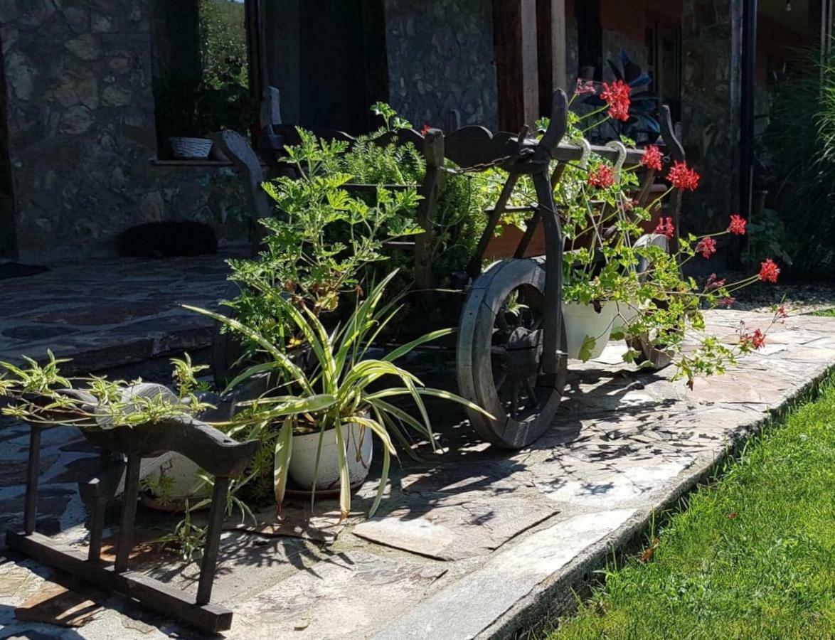 Pensiunea Raiul Muntilor Sebiş Exteriér fotografie