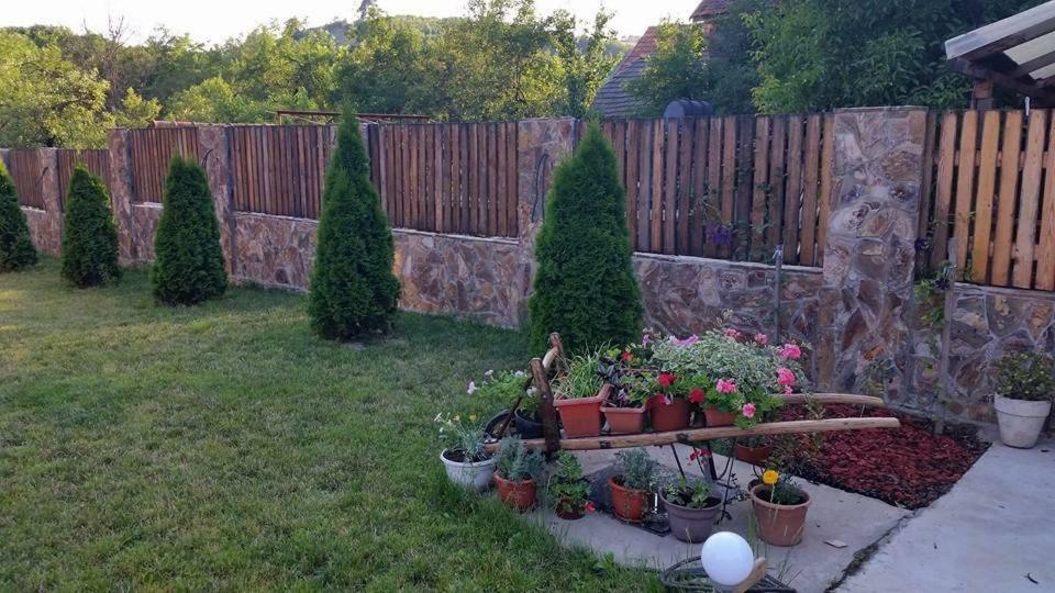 Pensiunea Raiul Muntilor Sebiş Exteriér fotografie